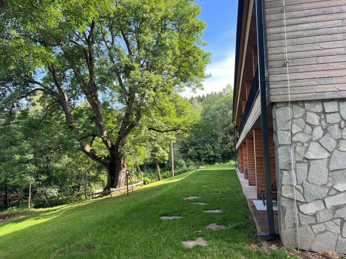 Apartman Boruvka Železná Ruda Extérieur photo